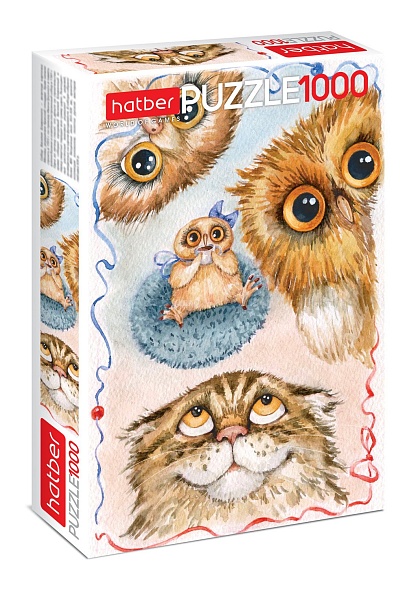 Obrazek pudełka